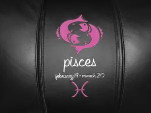 Pisces Pink Logo Panel
